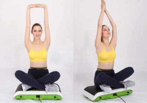 Fitness Machine Vibration Platform Electric Equipment Full Body Workout with Remote Control XJ-F-21