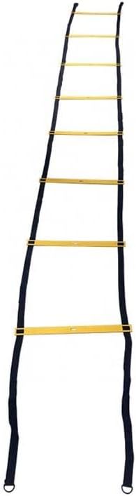 French Fitness 26 Ft Speed & Agility Ladder - Adjustable Rungs, Durable TPR/Nylon, Portable with Carrying Case & Pegs