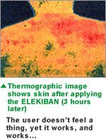 PIP ELEKIBAN MAX 200. 12 Magnets. Lasting Effect 2-3 Days/MGNT. Menthol Plus Comfortable Feeling. Circular conical Magnet. Magnet-Therapeutic Device for Muscle Stiffness Product of Japan and Imported