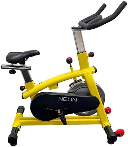 Kids Indoor Exercise Bike | Kid Spin Bike | Perfect for Home or Classroom | Quiet Drivetrain to Minimize Distraction