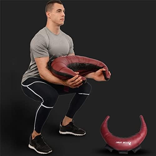 Weight Lifting Sandbag