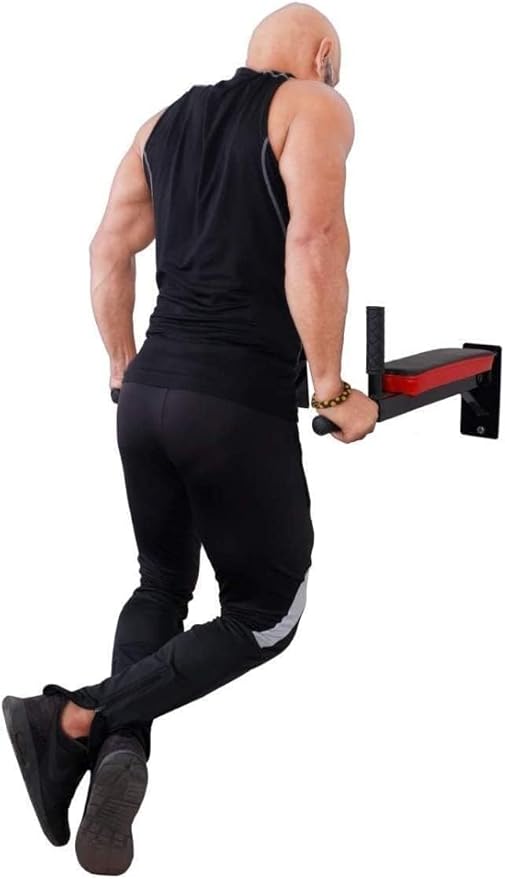 Heavy Duty Dips Bars - for Wall mounting, 4 Handle Bars with Padding on arms