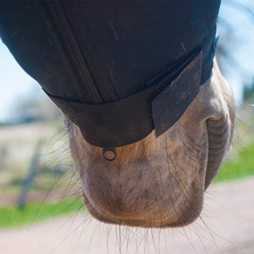 BENEFAB Therapeutic Lycra Horse Hood | Far-Infrared and Magnetic Therapy | Keeping Neck & Shoulders Warm & Relaxed | Reduce Pain & Stiffness | Better Performance & Recovery (Large)
