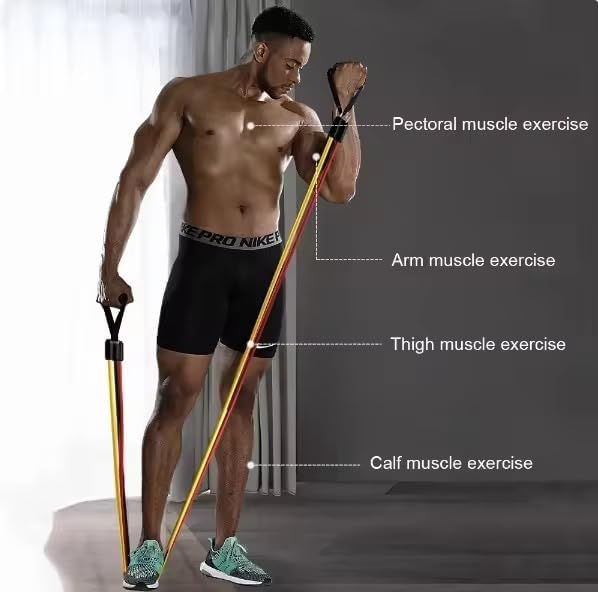 Ab Roller Home Gym Equipment – 4 Wheels Ab Wheel Muscle Roller with LCD Screen, 5Pcs Resistance Bands, Ankle Straps, Door Anchor, Handles, Travel Bag – Comfortable Elbow Support with Non-Slip Handles