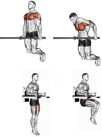 Heavy Duty Dips Bars - for Wall mounting, 4 Handle Bars with Padding on arms