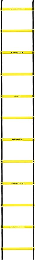 American Challenge 20 Foot Agility Speed Ladder