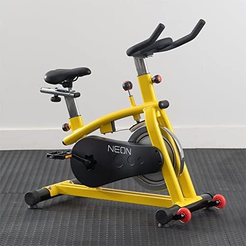 Kids Indoor Exercise Bike | Kid Spin Bike | Perfect for Home or Classroom | Quiet Drivetrain to Minimize Distraction