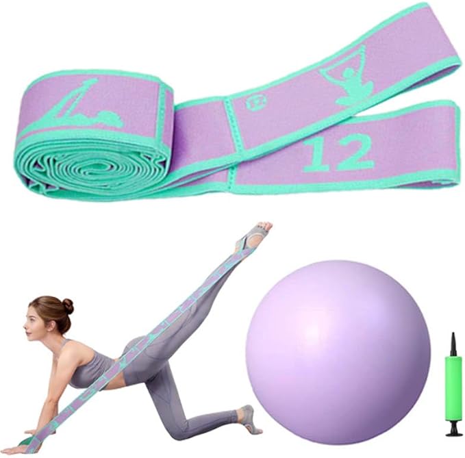 Home Pilates Kit - 12-Segment Resistance Bands + Small Pilates Ball + Random Color Air Pump | Multi-Functional Exercise Bands Resistance an Excellent Yoga Pilates Equipment
