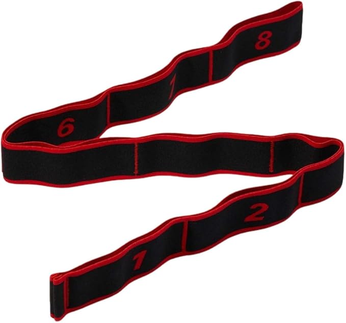 Resistance Bands for Working Out, 8-Levels Elastic Adjustable Exercise Bands for Women and Men,Body Stretching,Pilates,Booty Legs,Yoga,Workout Bands for Training,Gym,Fitness,Physical Therapy