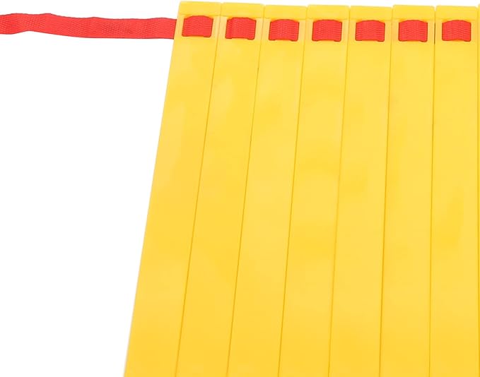 Agility Ladder, Agility Speed Training Equipment with Carry Bag for Men Women Football Fitness Feet Training Equipment Accessories