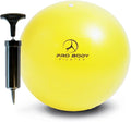 ProBody Pilates Small Exercise Ball with Pump - 9 Inch Workout Ball for Stability, Barre, Yoga, Core & Physical Therapy
