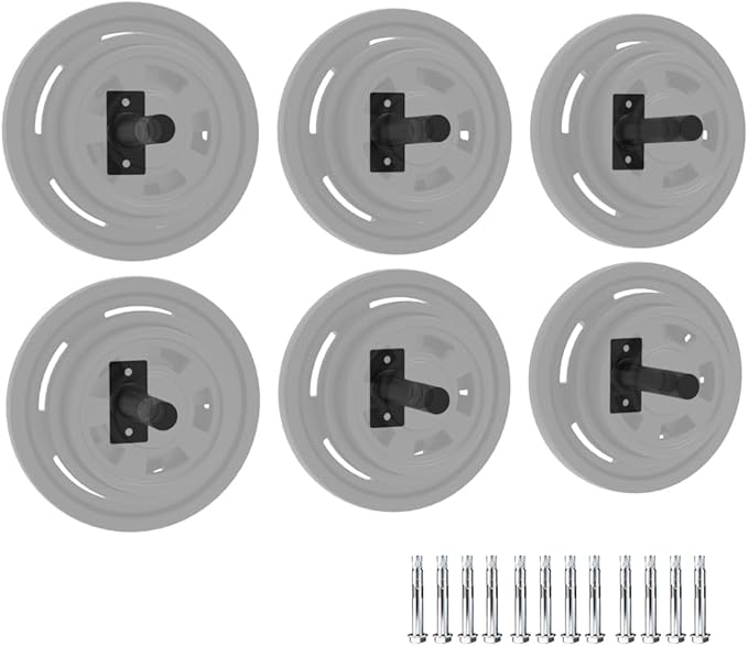 Wall Mounted Weight Plate Holder,Weight Plate Rack for for All Size Bumper Plates, Max Weight Capacity 300 Lb, Home Gym Organizer