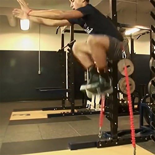 SPEEDSTER Sky Leaper- Vertical Jump Trainer for All Athletes with Adjustable Padded Belt and Adjustable Resistance Bungee Cords, Plus 2 Anchors- Heavy- High School Resistance