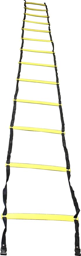 BlueDot Trading Speed Agility Training Sports Equipment Ladder