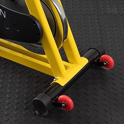 Kids Indoor Exercise Bike | Kid Spin Bike | Perfect for Home or Classroom | Quiet Drivetrain to Minimize Distraction