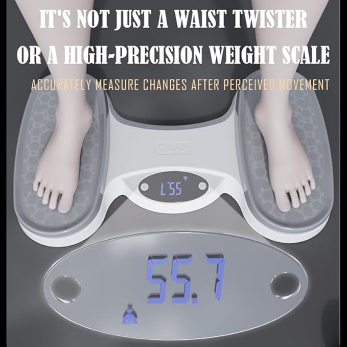 Waist Twister Disc Exercise, Ab Twist Board, Abs Workout for Slim Waist and Core Ab Exercise, Noiseless Home Gym Equipment for Women Men
