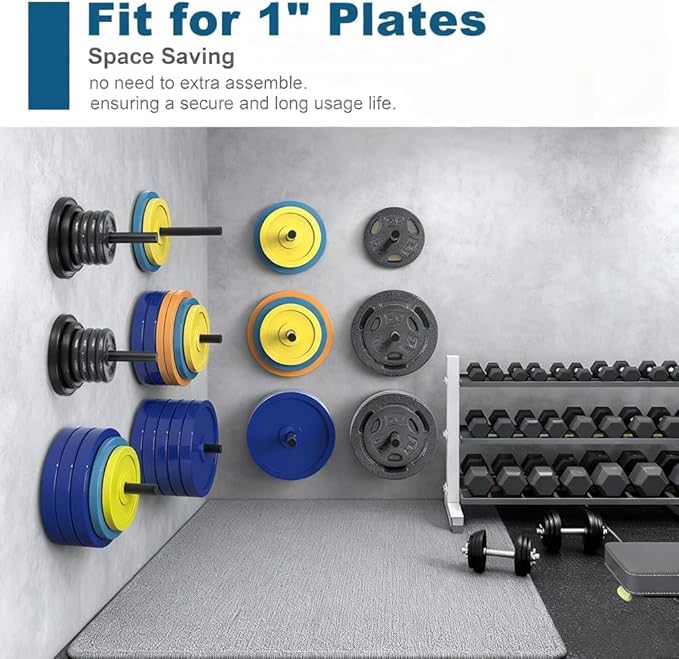 Wall Mounted Weight Plate Holder, Bumper Plate Rack for Home Gym Wall Organized, All Kinds Sizes