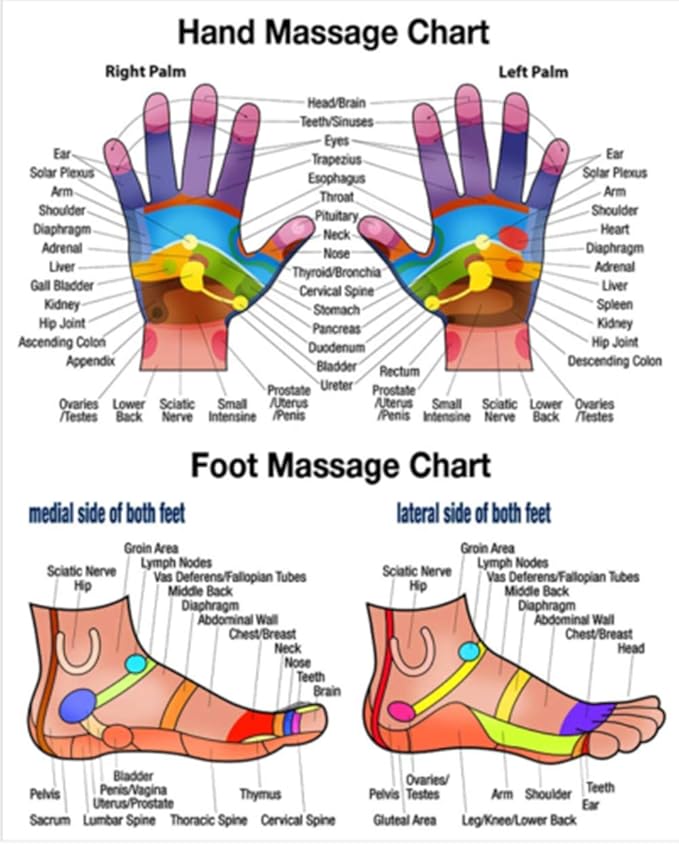 Reflexology Traditional Wooden Thai Massager Tools Full Body Foot Stick Hook Back Spa Face Gua Sha Therapy Trigger Point Massage Tool Relieve Shoulder Pain Wood (Set of Foot & Hand Therapy)