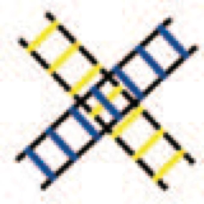Champion Sports Sectioned Agility Ladder Set, Red/Yellow/Blue/Green, 6.5" x 16" Wide