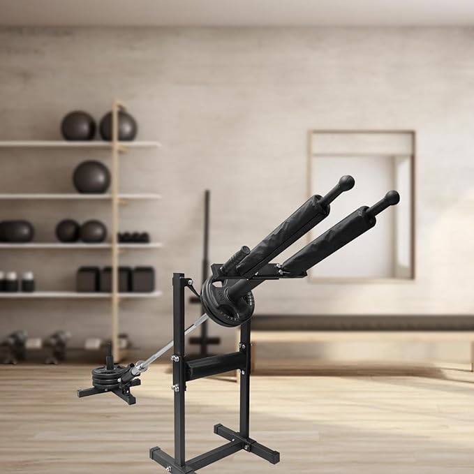 Shoulder Press Handle Bar Row Attachment Core Strength Training Shoulder Press Equipment for Ab Workout Back Chest