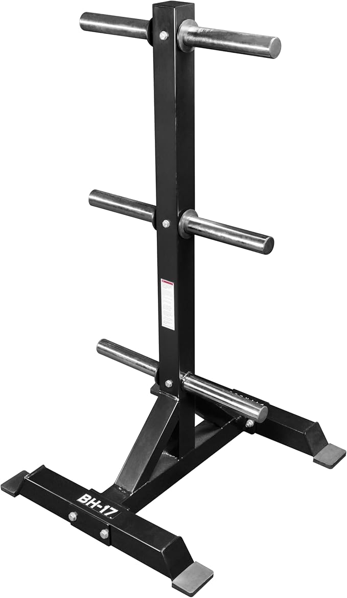 Valor Fitness Weight Plate Rack with Barbell Holders – Heavy-Duty Steel Storage Tree with 6 Pegs and 2 Vertical Bar Sleeves for Standard and Olympic Plates – 800 lb Capacity for Home & Garage Gyms