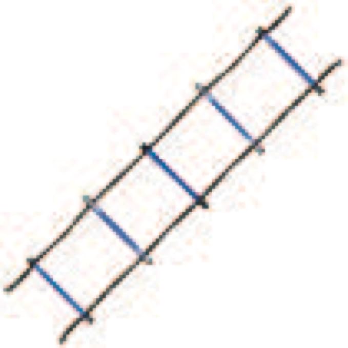 Champion Sports Sectioned Agility Ladder Set, Red/Yellow/Blue/Green, 6.5" x 16" Wide