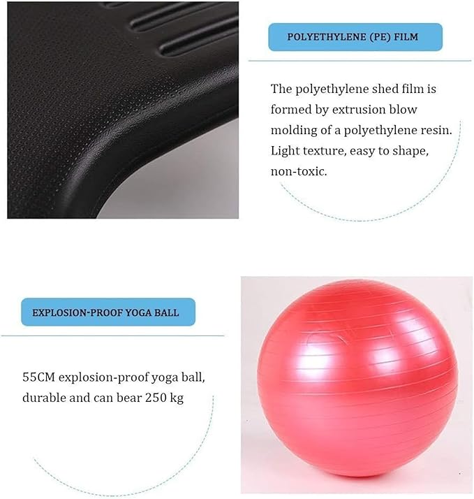 Yoga Ball Chair,Fitness Balance Ball Chair,Balance Ball Chair,Exercise Stability Yoga Ball Chair,for Exercise & Balance (Black)