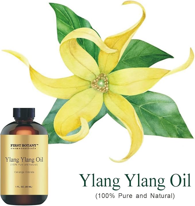 First Botany, 100% Pure Oil Ylang Ylang Oil - Premium Ylang-Ylang Essential Oil for Aromatherapy, Massage, Topical & Household Uses - 1 fl oz