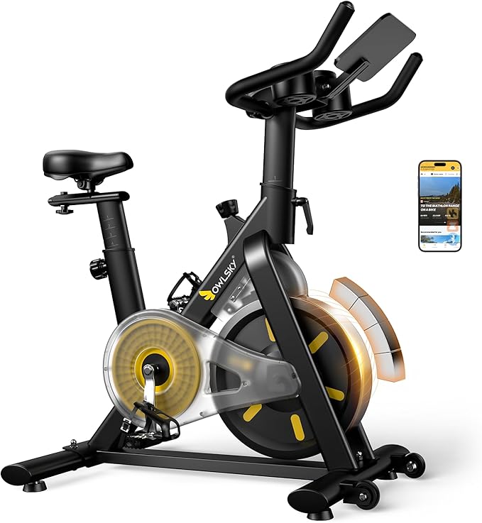 OWLSKY Exercise Bike with APP, Stationary Bike for Home, 300 lbs Capacity Quiet Indoor Cycling Bike Gym Cardio Workout, Adjustable Seat & Tablet Holder