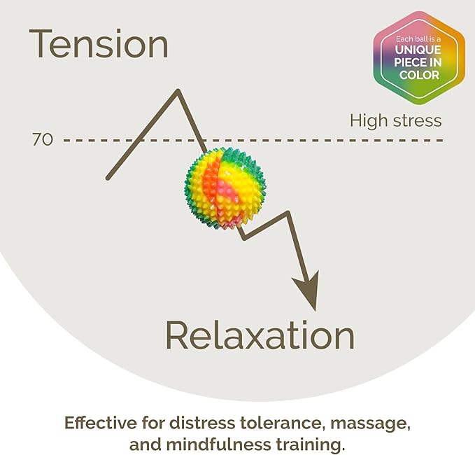 2X Spiky DBT Skill Balls | 2inch | Magnetic Stress Relief Balls | Spiky Massage Balls for Relaxation, Tension Release, Focus & Mobility (Rainbow)
