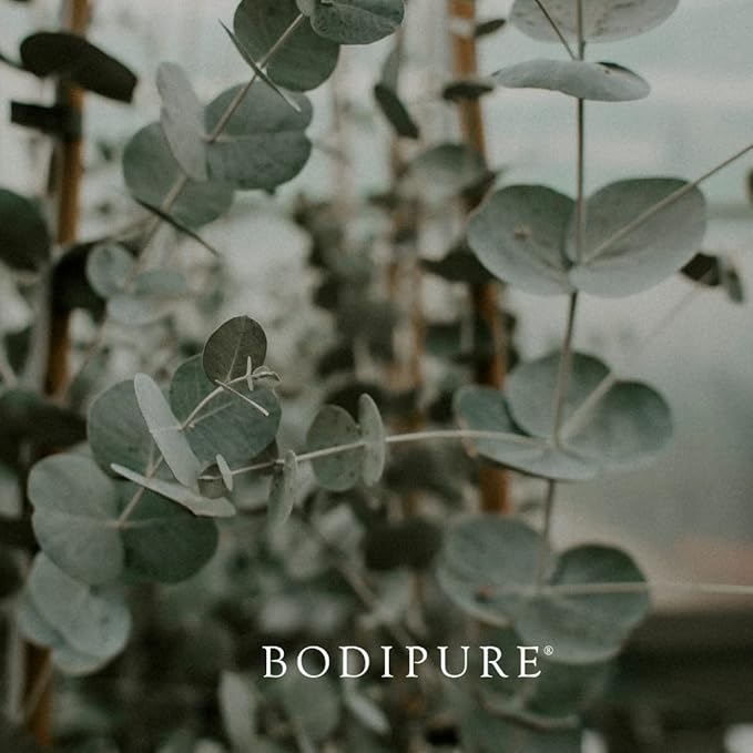 BODIPURE Eucalyptus Aromatherapy Massage Oil for Body - Great for Professional Massage Therapy - Natural Therapy for All Skin Types - Massaging, Relaxing Muscles and Joints - Women and Men - 8 Ounces