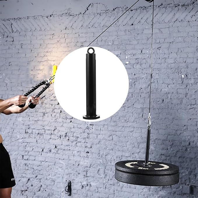 2Pcs Gym Weight Loading Pin and Weight Plate Holder Fitness Pulley Cable Machine Attachment 48Mm Diameter × 320Mm Fitness Equipment Accessory for Strength Training