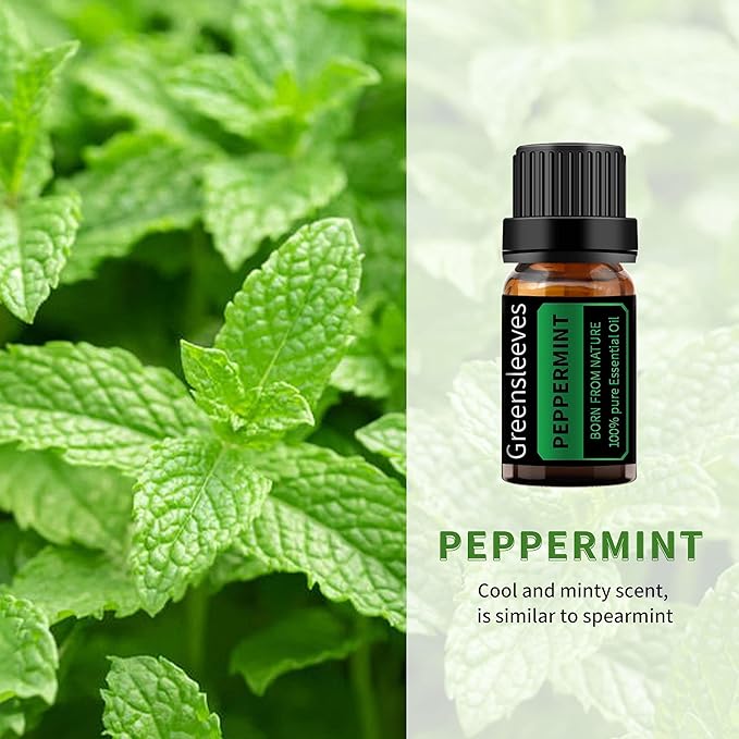GREENSLEEVES Cinnamon Peppermint Essential Oil Set, 2 x 10ml Pure Plant-Based Fragrance Oil for Aromatherapy, Essential Oils for Diffuser, Massage, Bath Bomb, Scented Candle Soap Making