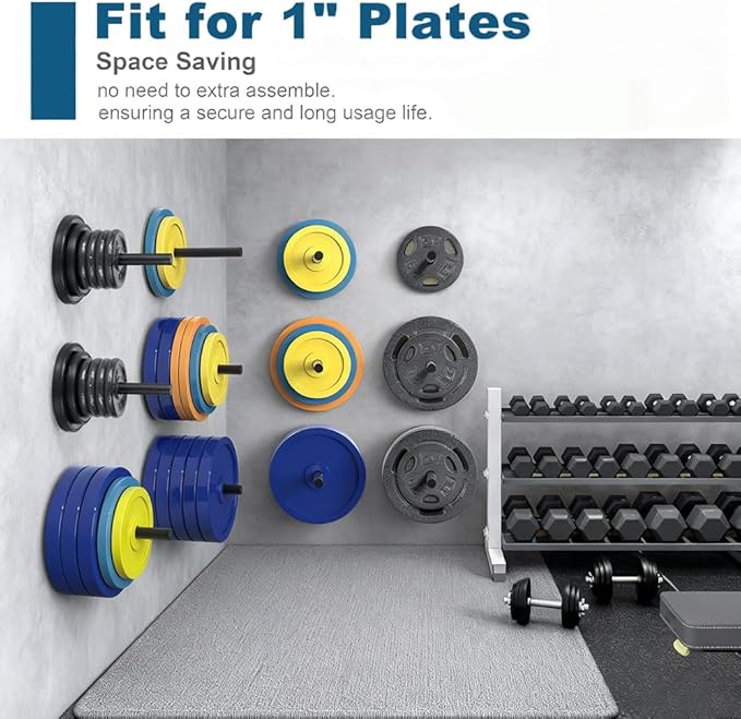 Wall Mounted Weight Plate Holder,Weight Plate Rack for for All Size Bumper Plates, Max Weight Capacity 300 Lb, Home Gym Organizer