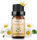 Sedbuwza Chamomile Essential Oil, Pure Organic Chamomile Fragrance Oil for Diffuser, Humidifier, Soap, Candle, Perfume