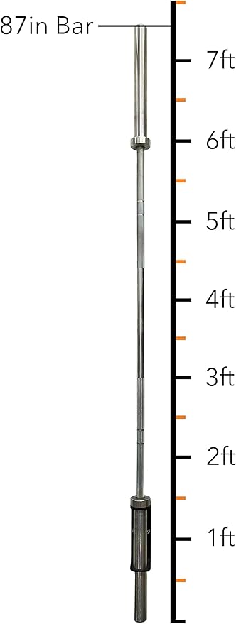 PRx Performance Vertical Barbell Storage Rack - Wall-Mounted, Space-Saving Single Weight Bar Holder for Efficient Organization in Home or Commercial Gyms, Durable, Easy to Install, USA Made, Black