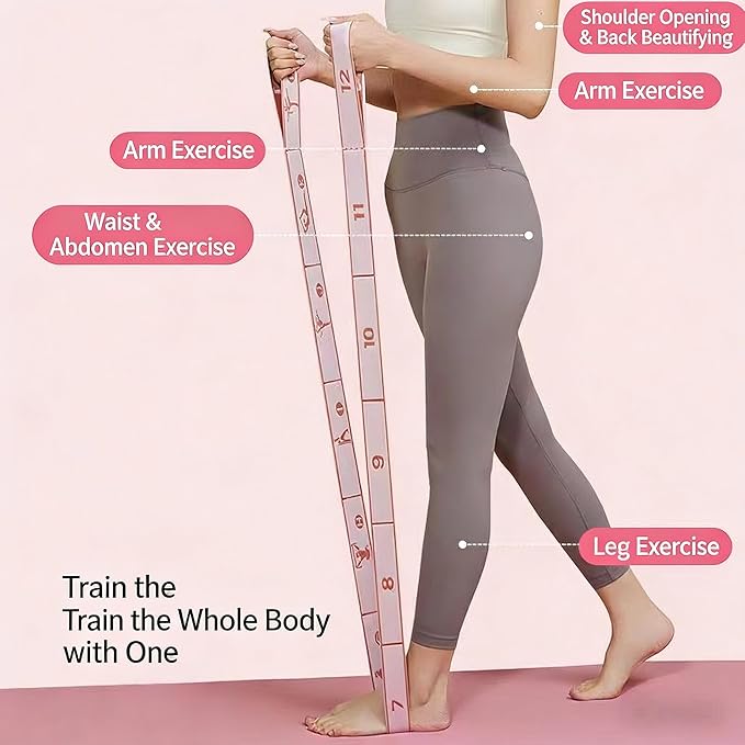 Home Pilates Kit - 12-Segment Resistance Bands + Small Pilates Ball + Random Color Air Pump | Multi-Functional Exercise Bands Resistance an Excellent Yoga Pilates Equipment