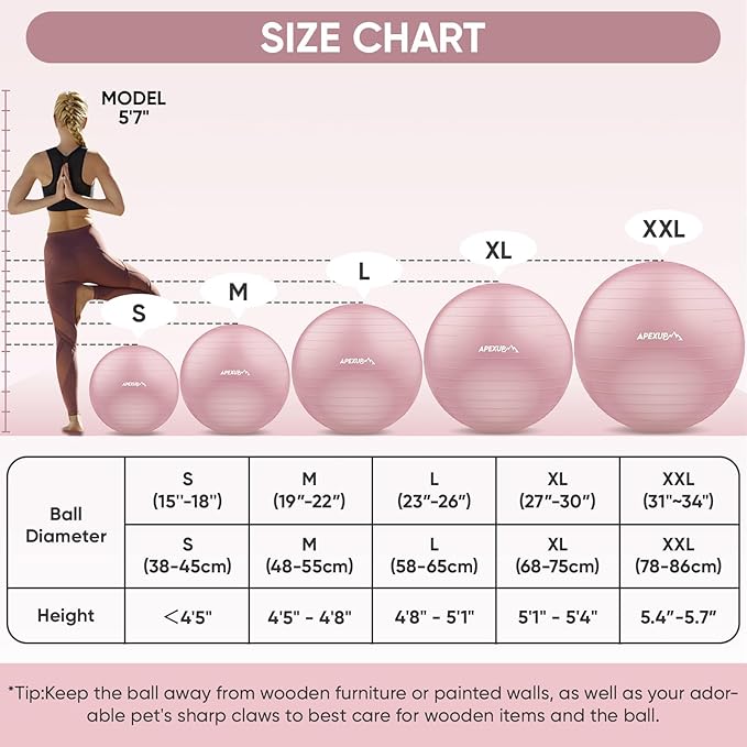 APEXUP Yoga Ball Exercise Ball Anti Slip Heavy Duty for Fitness, Balance & Core Workout