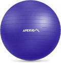 APEXUP Yoga Ball Exercise Ball Anti Slip Heavy Duty for Fitness, Balance & Core Workout