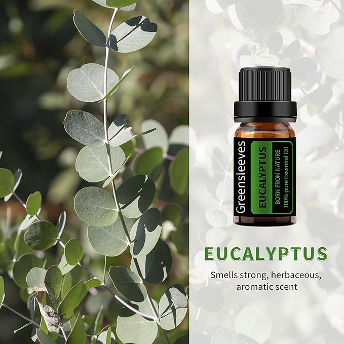 GREENSLEEVES Jasmine Eucalyptus Essential Oil Set, 2 x 10ml Pure Plant-Based Fragrance Oil for Aromatherapy, Essential Oils for Diffuser, Massage, Bath Bomb, Scented Candle Soap Making