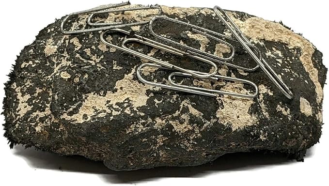 Large Naturally Magnetic Lodestone 1/2 to 3/4 Pound