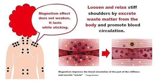PIP ELEKIBAN MAX 200. 12 Magnets. Lasting Effect 2-3 Days/MGNT. Menthol Plus Comfortable Feeling. Circular conical Magnet. Magnet-Therapeutic Device for Muscle Stiffness Product of Japan and Imported