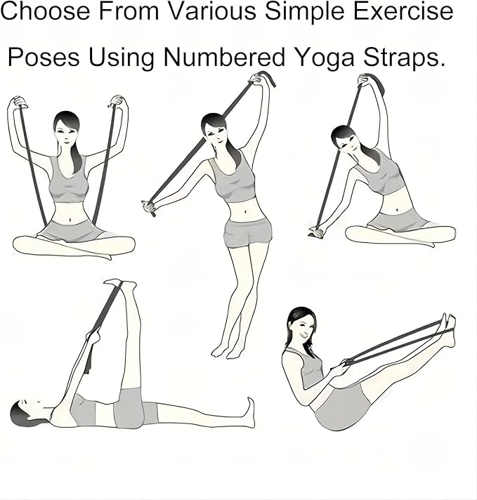 Fitness Resistance Bands with Handles, Numbered Resistance Bands for Glutes, Fitness Resistance Band for Stretching and Yoga, Adjustable Band for Seniors