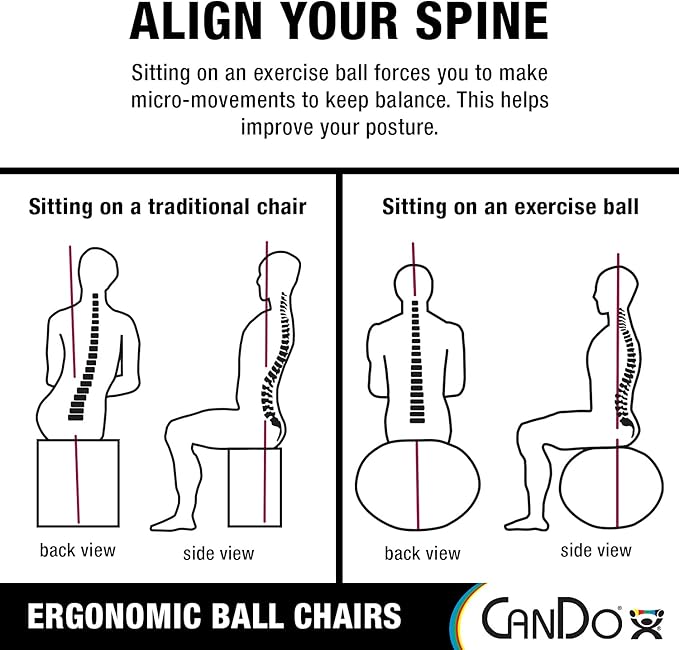 CanDo Metal Ball Chair - Inflatable Ergonomic Active Seating Exercise Ball Chair with Air Pump for Home, Office, and Classroom