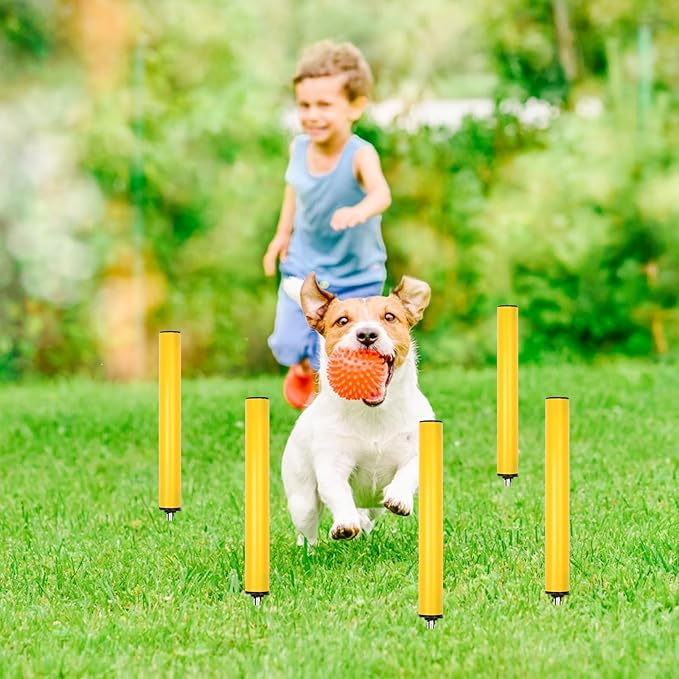 Soccer Agility Poles, Speed Sport Training Equipment for Soccer Basketball Football，Speed Jump Poles Training Equipment for Athletes/Kids/Adult