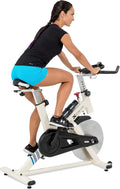 Indoor Cycle Trainer Bike