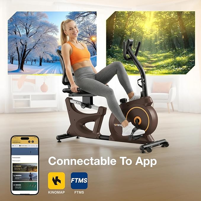Recumbent Exercise Bikes for Home | Light Commercial-Grade Recumbent Bike for Seniors | Magnetic Recumbent Exercise Bikes with Heart Rate Handle | Smart App,LCD with Comfortable Seat