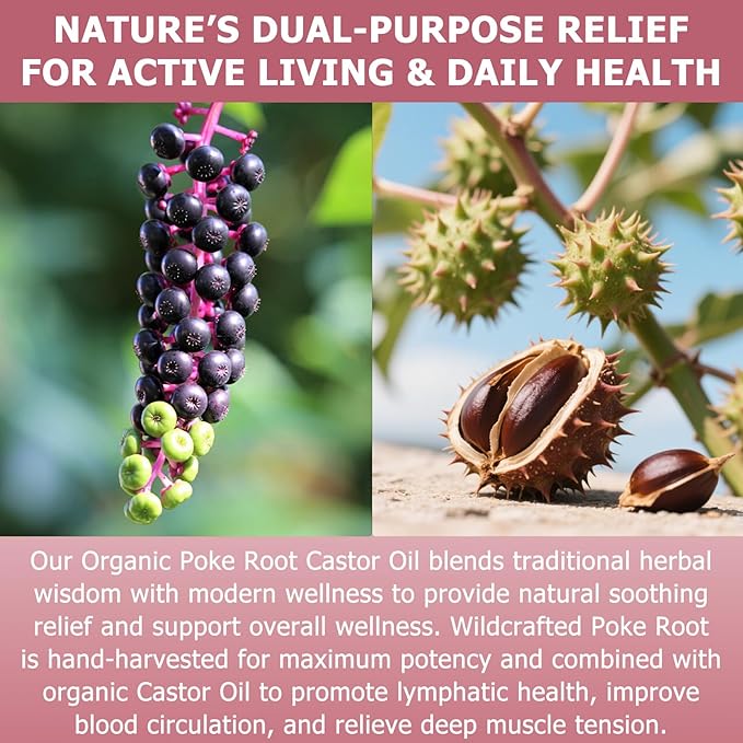 Poke Root Castor Oil Organic - 1 Fl Oz - Lymphatic Support Massage Liquid, Supports Boils, Fibroids, Cysts, Swollen Lymph Nodes, Breast & Joint Health, Natural Deep Tissue Relief Drops