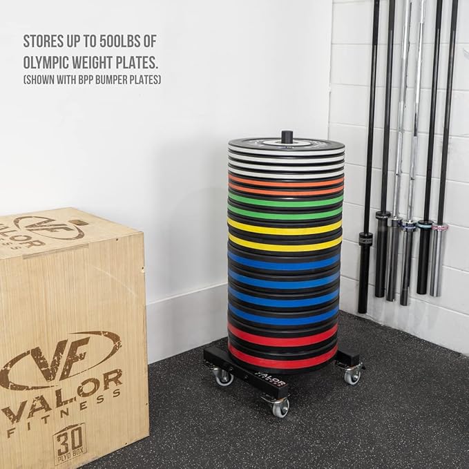 Valor Fitness Bumper Plate Storage Rack, Olympic Weight Plate Tree with Locking Wheels, 500 lb Capacity, 2 Inch Plate Holder for Home Gym, Garage Gym, and Commercial Fitness Use