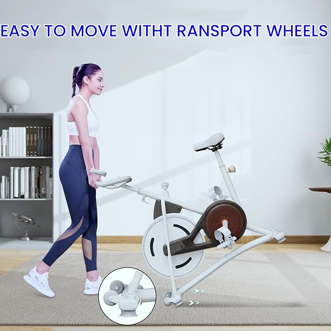 NAYSAYE Exercise Bike, Adjustable Stationary Bikes with Smartphone Mount, Professional Exercise Bike with Digital Pulse Display for Home and Office